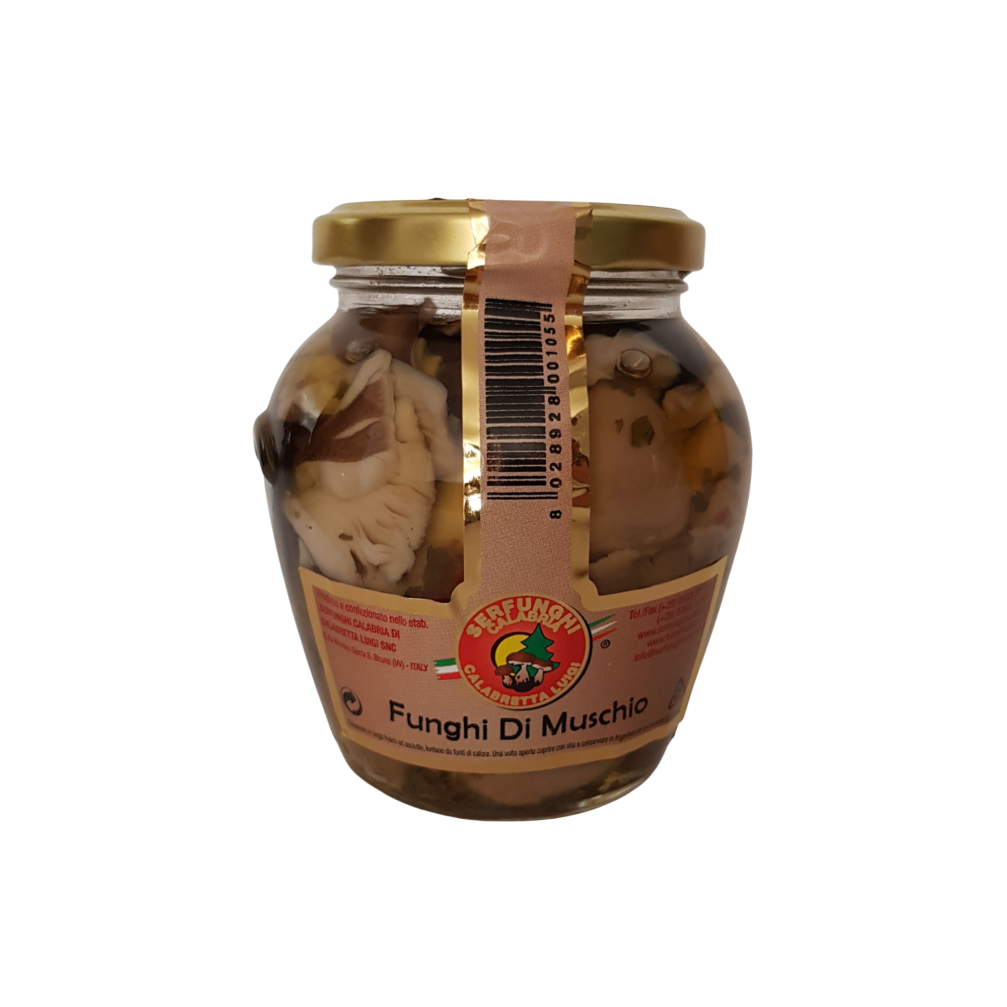 Machové huby v oleji – Serfunghi Calabria