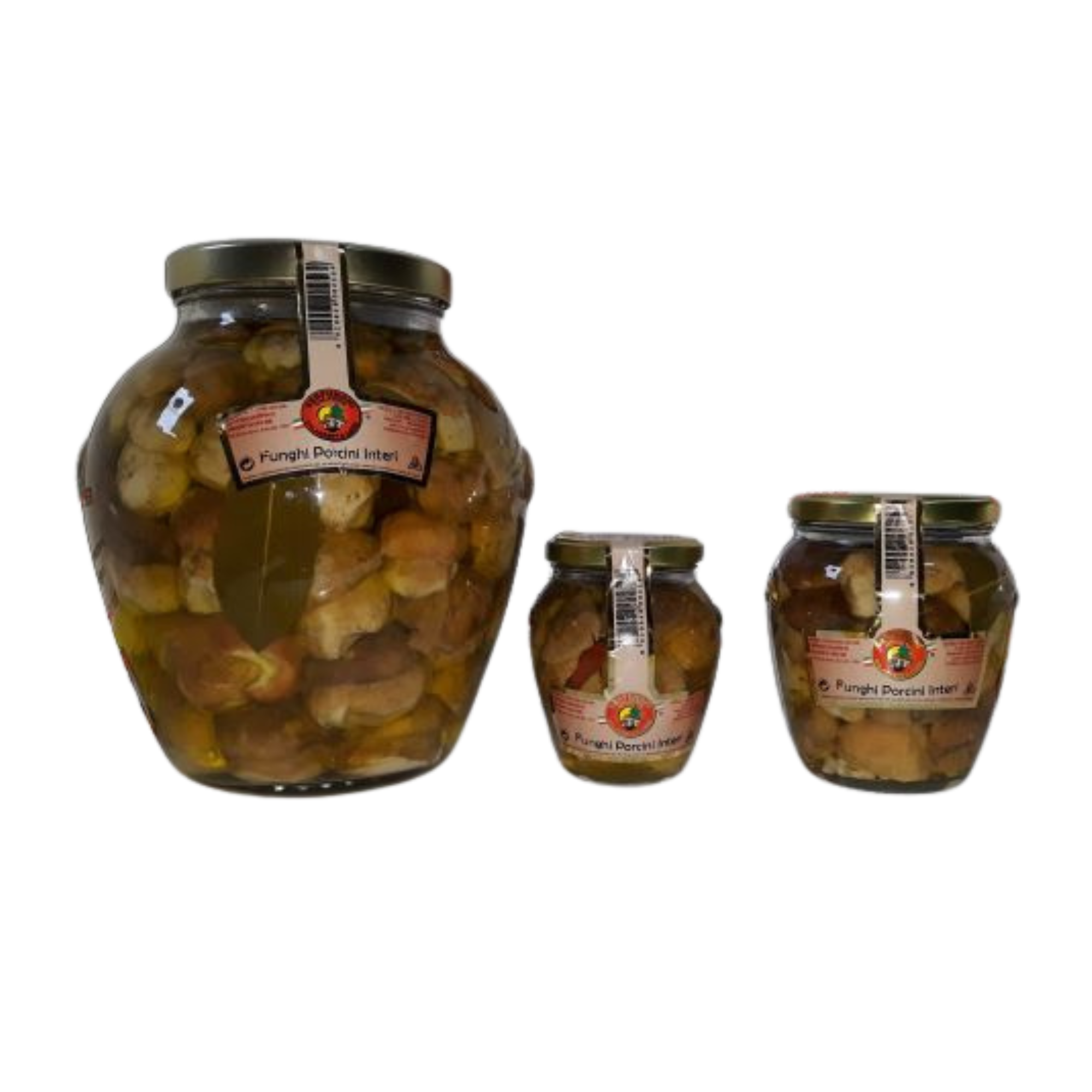 Funghi Porcini Interi in Olio 314ml/580ml/3100ml / Serfunghi Calabria