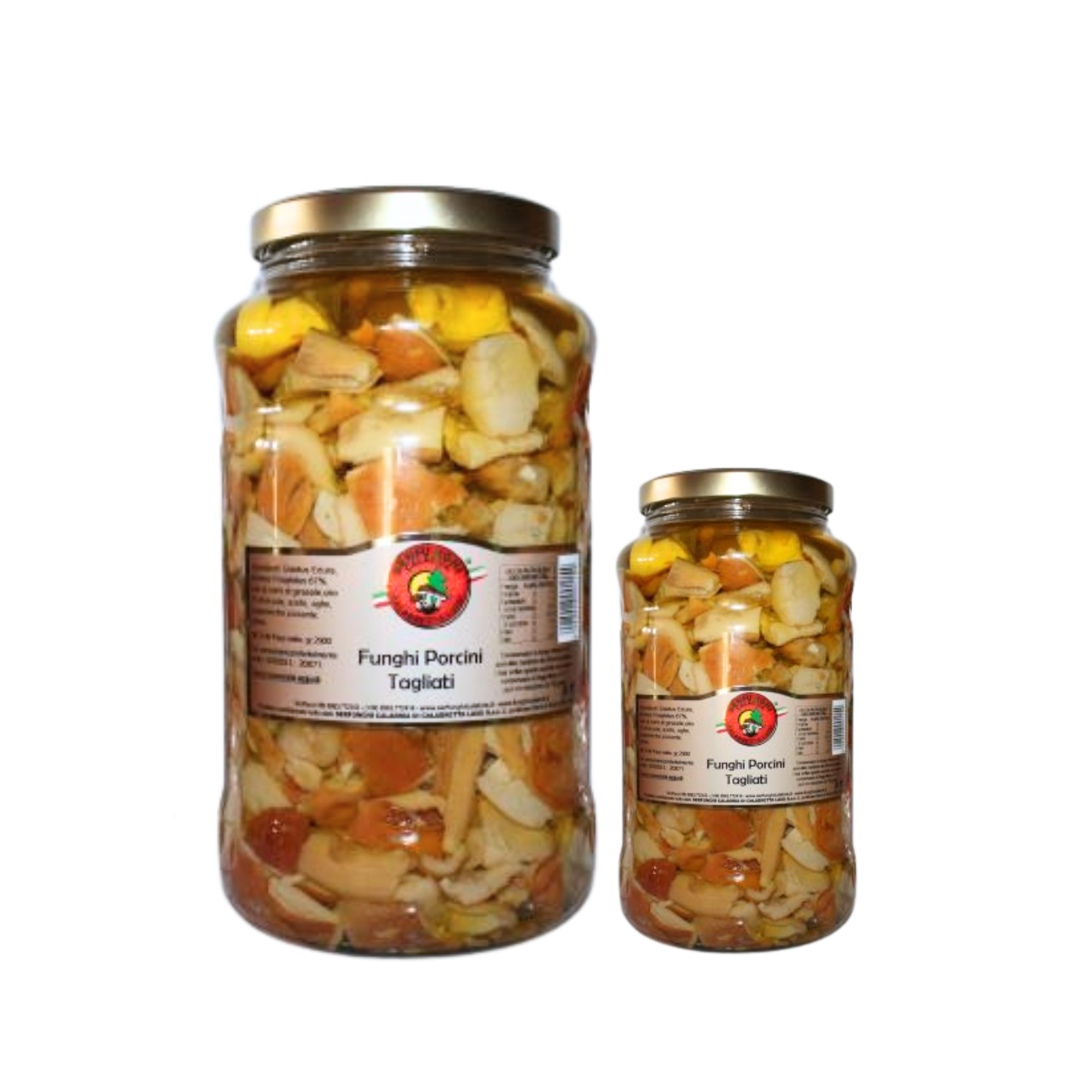 Hlívy Krájené 580ml/3100ml / Serfunghi Calabria